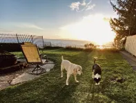 Pets welcome. Great Ocean View .  Remodeled Kitchen. Fire Pit. BBQ<br>Free WiFi.