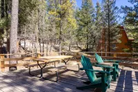 Family Cabin Hiking, Biking, Skiing and Hunting!