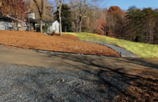 The Meadows of White Mountain