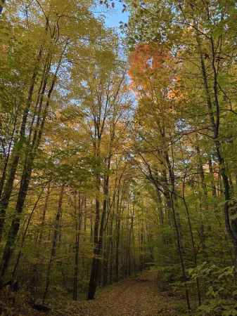 Charming Upnorth Cabin