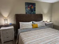 4 Bedroom With 4 King Beds, Pool and Arcade: 15 Min Drive To Clearwater Beach Отели рядом с достопримечательностью «Пинеллас Байк Трейл»