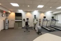 Hilton Garden Inn St. Augustine Beach - Gym