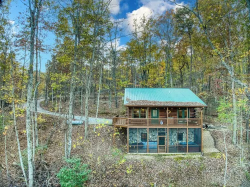 Dog-Friendly Log Cabin with Mountain Views, Hot Tub & Game Room — Near Downtown