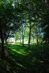 Calf Close Cottage: a rural retreat, dog-friendly, eco-friendly