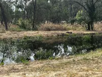 French country home on 10 acres, near Int. airport