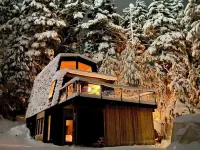 Beautiful Girdwood Cabin with Sauna & Steam Shower
