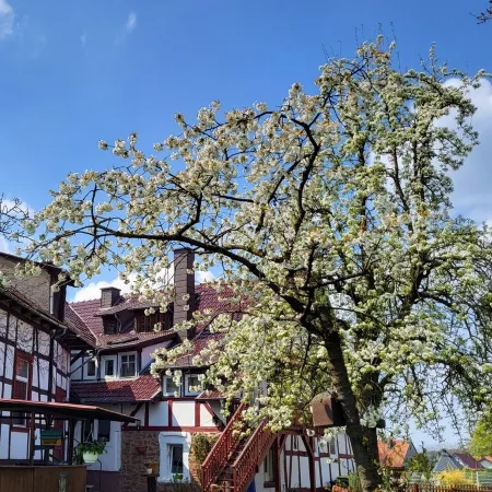 Schöne Große Ferienwohnung für 1-4 Gäste, zum Entspannen Bestens Geeignet