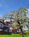 Schöne Große Ferienwohnung für 1-4 Gäste, zum Entspannen Bestens Geeignet Hotels in der Nähe von Klosterpark Spieskappel
