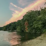 Escape to Caladan Cottage! Cozy pet-friendly lake house: AC, multi-beach access.