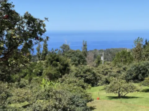 Dragonfly Healing Farm