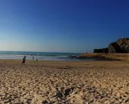 4 bedroom barn conversion on smallholding with alpacas, goats and pigs