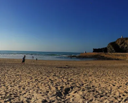 1 bedroom barn conversion on smallholding with alpacas, goats and pigs