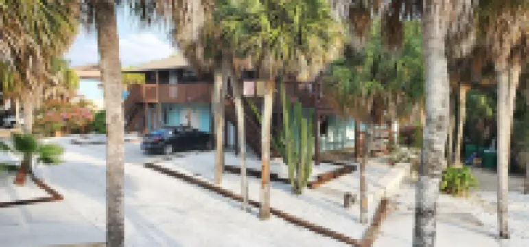 Walk to Gulf Beach Access! Coastal Studio – Starfish Stays 2C Dog Friendly.