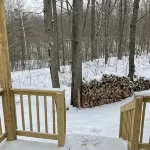 Cozy cabin in the woods