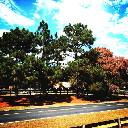 Tanglewood Farm - Fox Den Suite 1 Br/1BA Private Apartment on Horse Farm