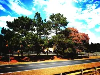 Tanglewood Farm - Fox Den Suite 1 Br/1BA Private Apartment on Horse Farm