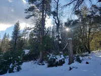 Bass Lake Cabin only 1.5 miles to the lake. Hiking trails on the property.