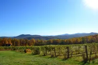 Blue Mountain Log Cabin