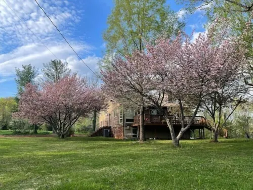 Spacious Retreat with Outdoor Firepit & Large Deck