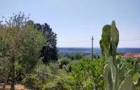 L'OLIVO Tourist Apartment CIN IT051021C2MW8M4HLF