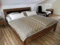 Modern 80 sqm apartment near Saarburg in a quiet location,