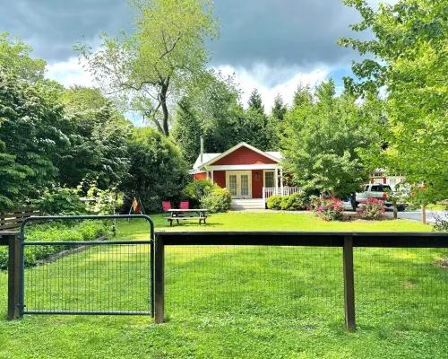 Incredible fenced in dog friendly cottage in downtown Brevard with hot tub! Hotels in Brevard