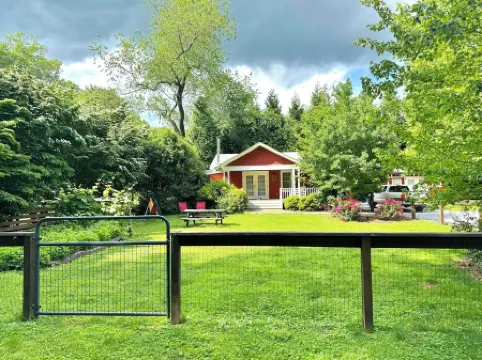 Incredible fenced in dog friendly cottage in downtown Brevard with hot tub!