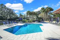 Oceanfront, Stunning, Renovated, Guests Love it! - Pools