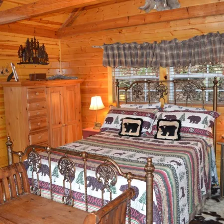Quaint Cabin with a Creek in Front That Will Lull You to Sleep and Pets Allowed