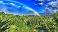 Ocean View Cabin located on Organic Coffee Farm with Hiking Trails
