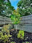 Great Katama Home with Pool -- Sept./OCT. Weeks Available! No Fee for Pool Heat!