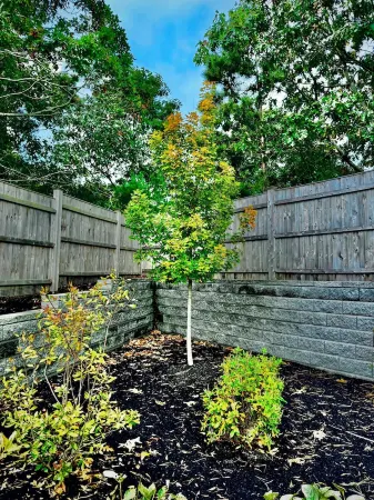 Off-Season Discount! Great Katama Home with Heated Pool!