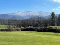 Cold Mountain View Cabin 피전 호텔