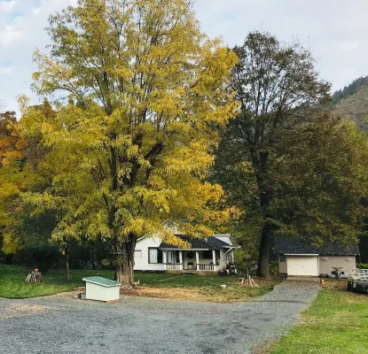 Serene Historic Cabin, Nine Acre Estate, Just Off I-5