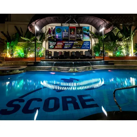 Score Birds Hotel