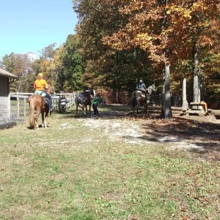 The Honey Hut next to Big South Fork NRRA with AC, wifi, and horse stalls.