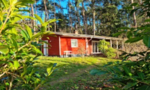 Waldhaus Dötlingen - Beautiful vacation home with 75sqm in the Wildeshauser Geest Nature Park