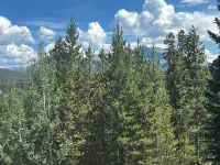 Beautiful Mountain Retreat in Breckenridge