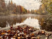 Peaceful RIVER front cabin in the WOODS! Kayak, snowmobile, hike, relax!