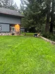 Chalet in the Majestic Redwoods 5 mins to Redwood National parks & Smith River. 제데디아 스미스 레드우즈 주립공원 주변 호텔