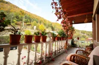 Abant Doğa Köşkü - Mountain view