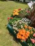 House Angeli Hotels in Ghisonaccia