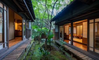 Nihon-No-Ashitaba