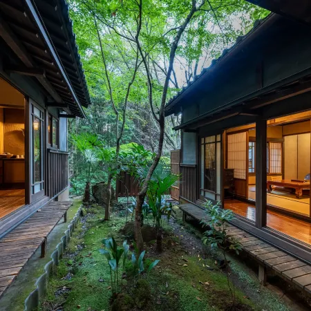 Nihon-No-Ashitaba