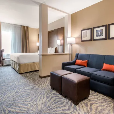 Comfort Suites - South Austin Hotels near Garrison Park