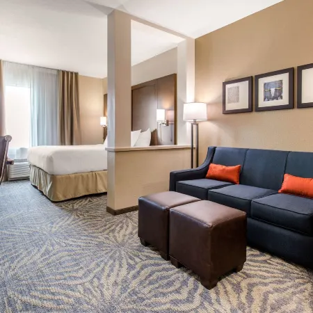 Comfort Suites - South Austin