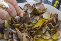 The Stunning Seaview Apartment