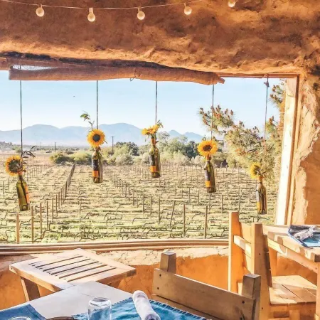 Ecovino Valle de Guadalupe