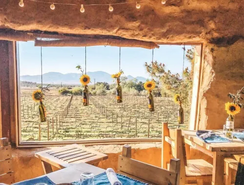 Ecovino Valle de Guadalupe - Homestay