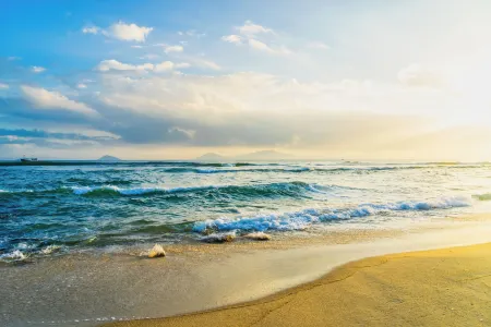 Nalani Homestay & Hostel Hoi An Отели рядом с достопримечательностью «Tra Que Vegetable Village»